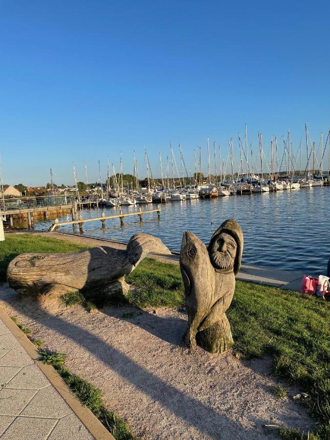 Top Ferienwohnung In Rerik - Nahe Salzhaff & Ostsee - Mit Gartenterrasse Екстер'єр фото